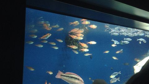 池袋サンシャイン水族館