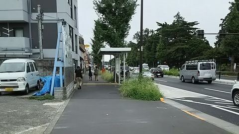府中運転免許試験場,徒歩,武蔵小金井駅,所要時間
