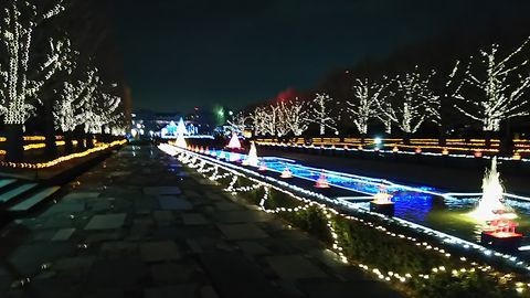 昭和記念公園イルミネーション