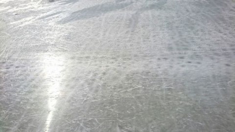 グリーンセンター川口市アイススケート